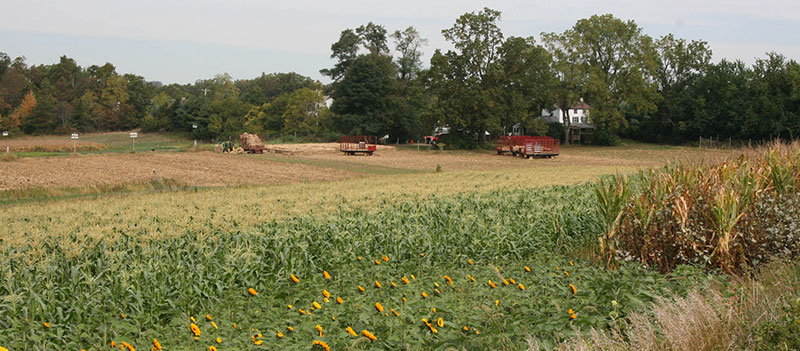 Census of Agriculture Top