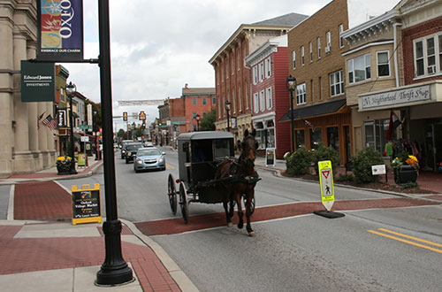 Horse and buggy