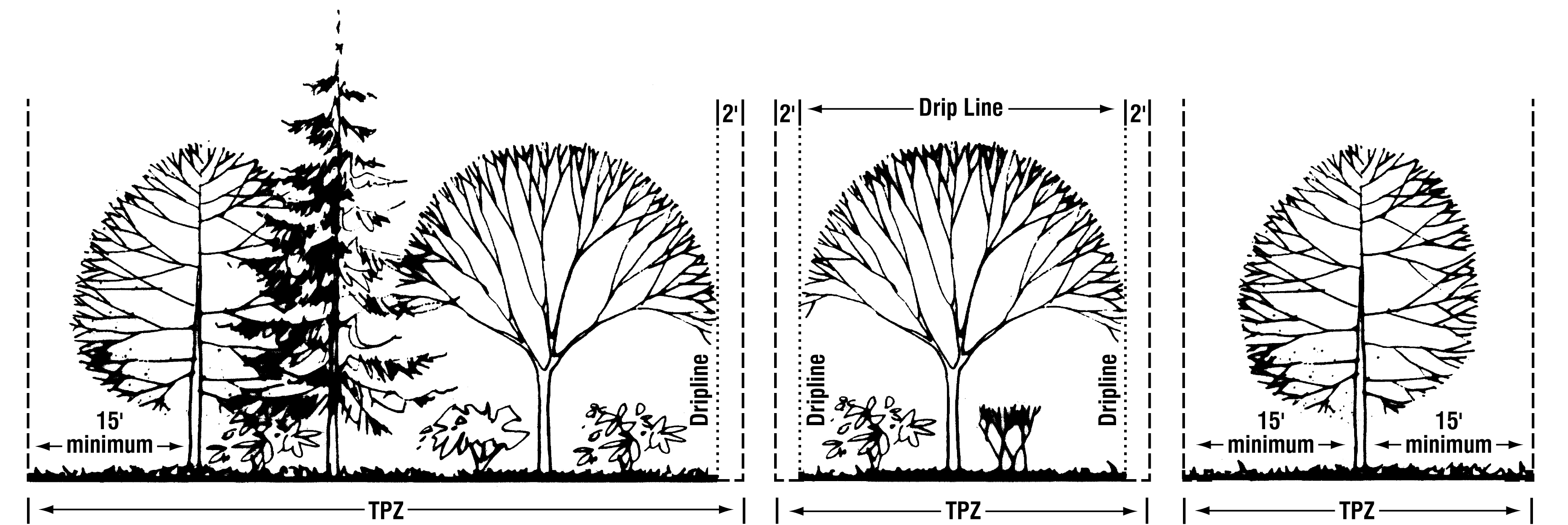 Tree Protection Zones