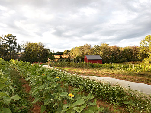 Rushton Woods Preserve and Farm