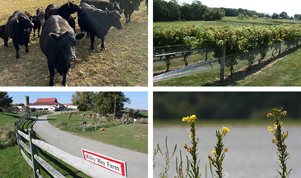 Farm Tours